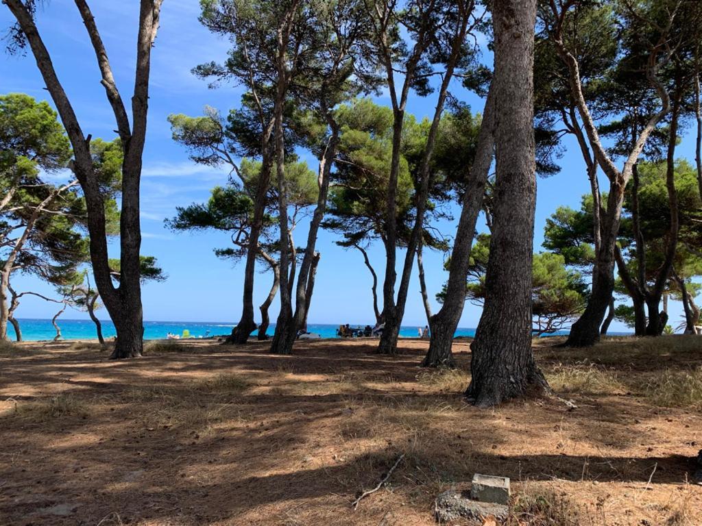 Canyamel Apt 3A Cala Varques 100 Mts From Canyamel Beach Pool Chill-Out Terrace With Awesome Views Экстерьер фото